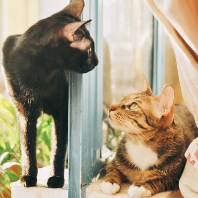 这个果子有点甜