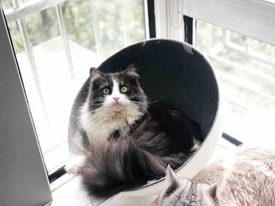 啊驰啊驰