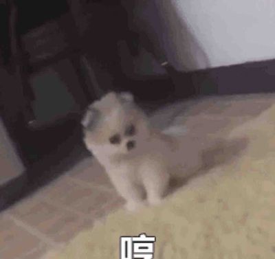 青小团团