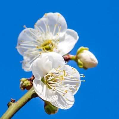 艺恒装饰工程有限公司