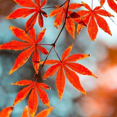 滁州海加装饰有限公司