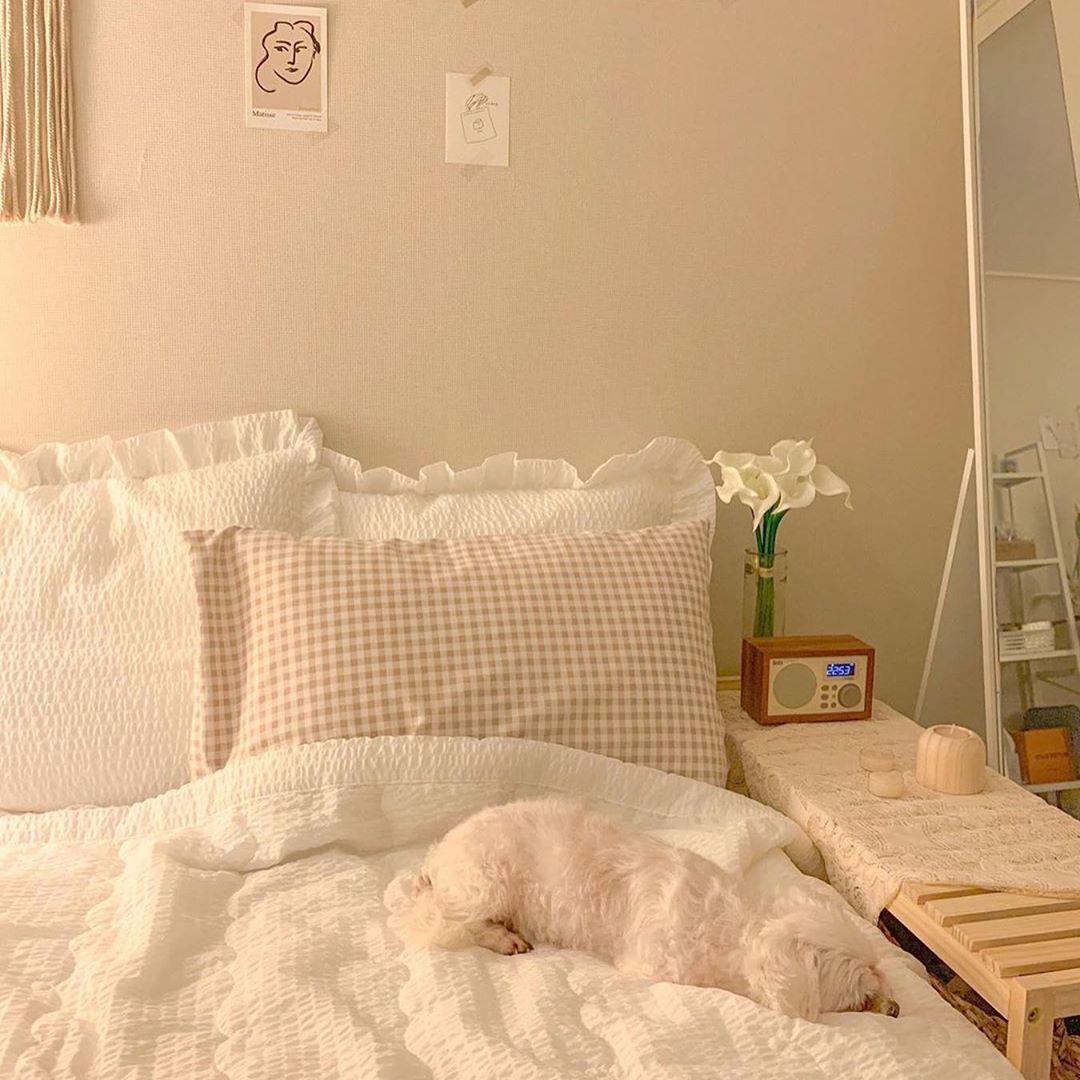 如何用最省的钱，打造最舒服的家装修效果图片_4