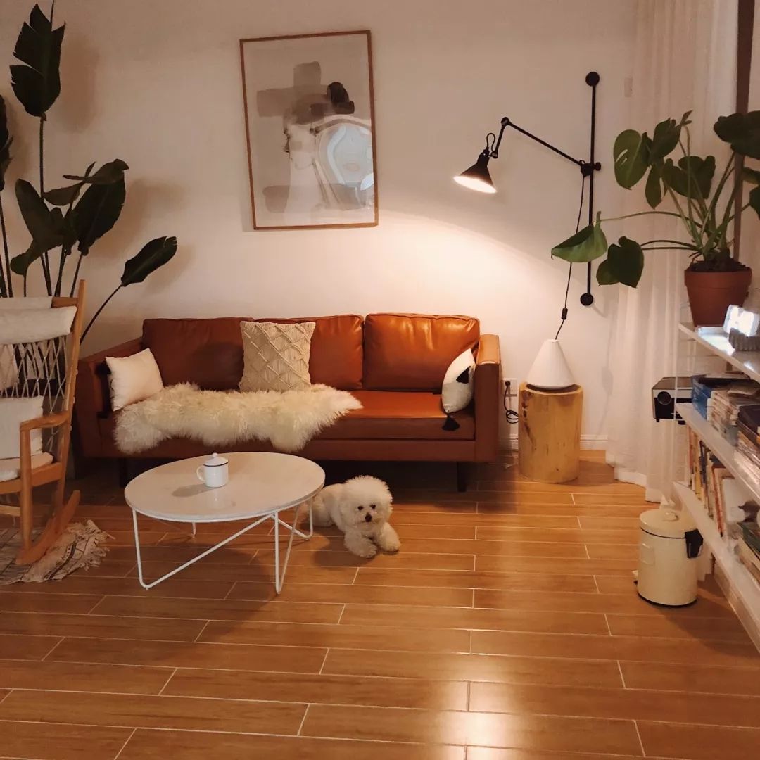 客厅摆上驼色沙发，轻松打造轻奢风装修效果图片_2