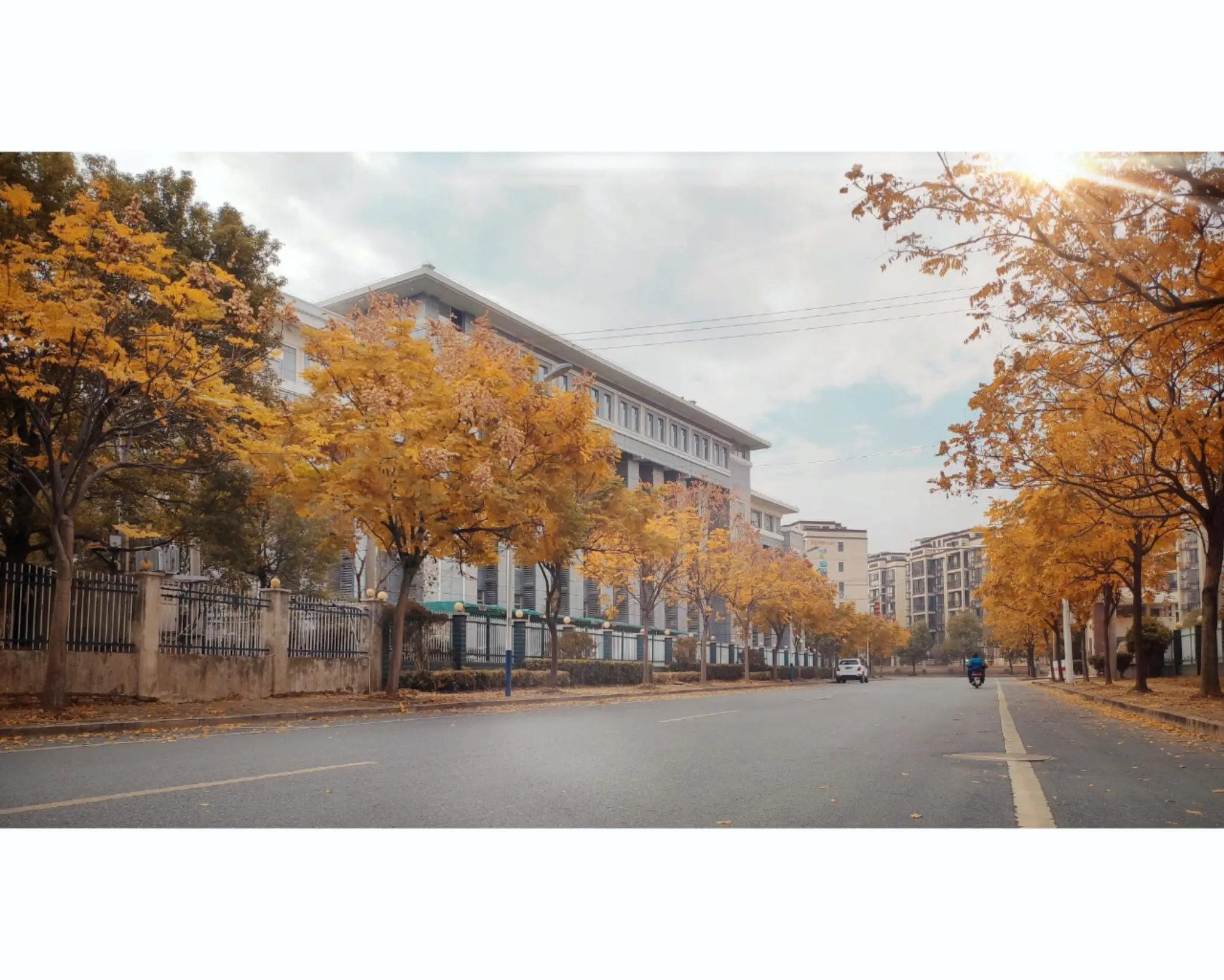 2019美好的瞬间图片_0