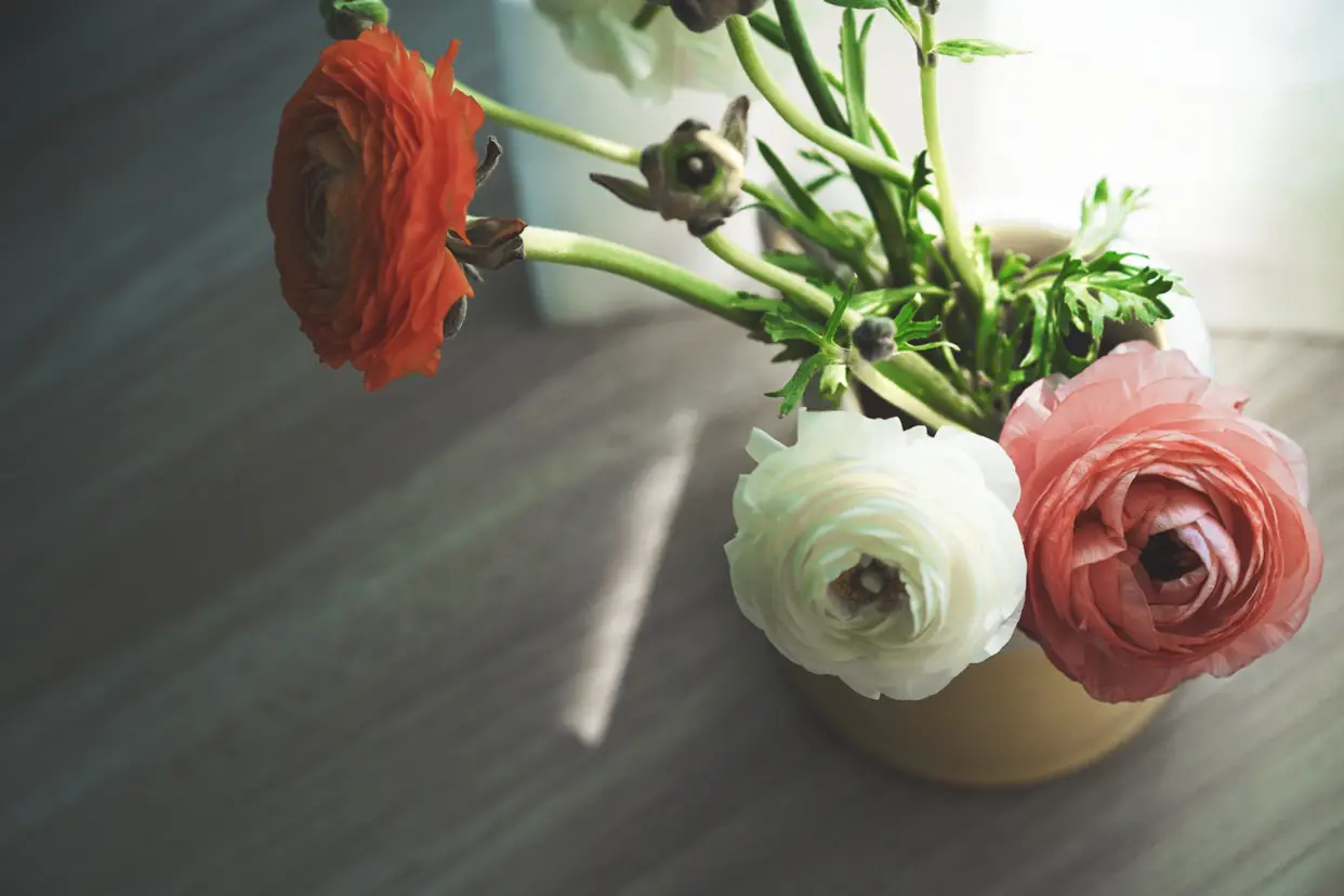 春天的一些光线🌷图片_1