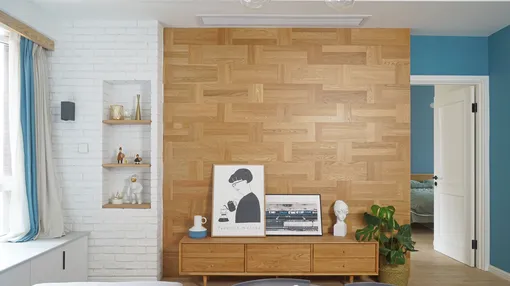 拾光 - 情为何物？看90后养生老弟的家就知道