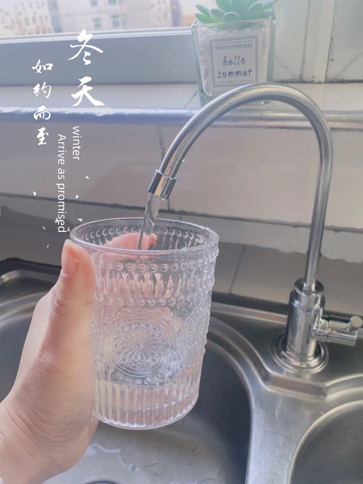 厨房好物｜在家终于能喝到健康放心的水了图片_1