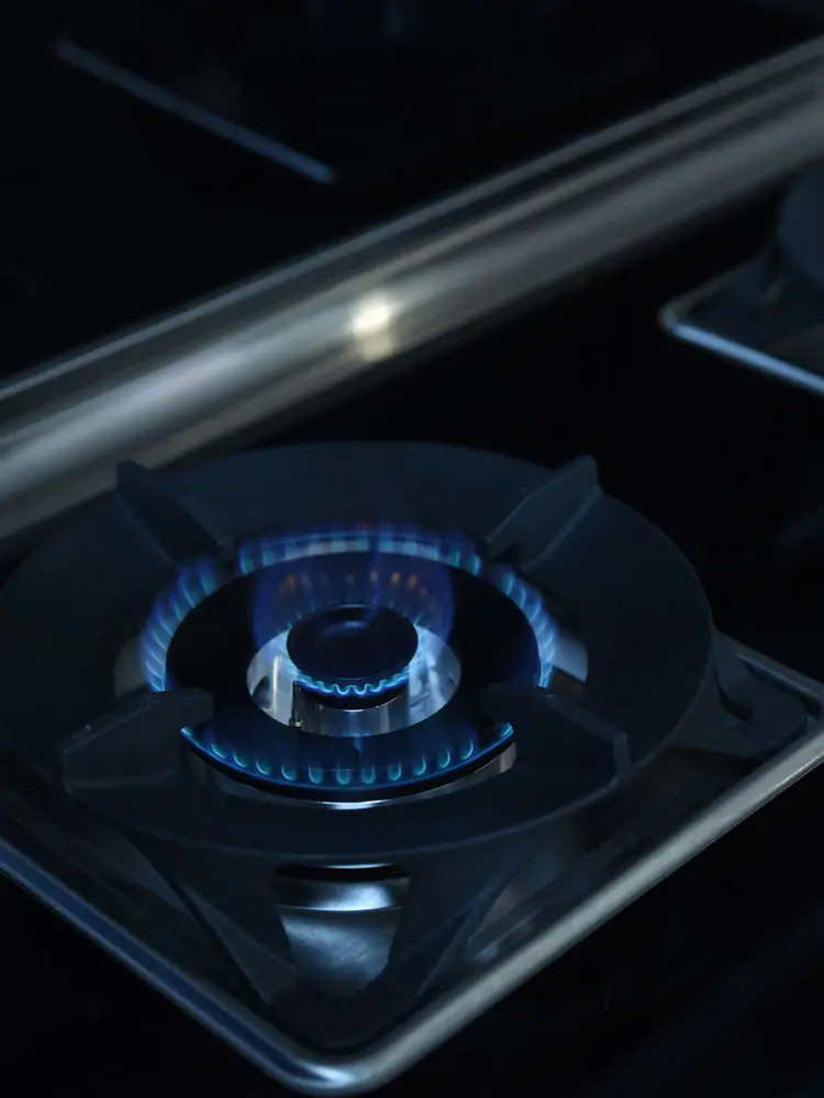 厨房好物|智能化集成灶烹饪美食更靠谱图片_4