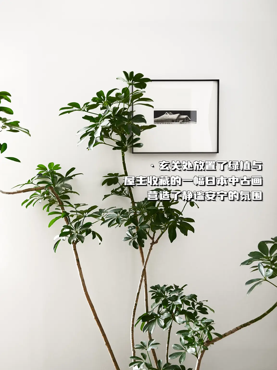 玄关设计 | 艺术感弧形墙图片_2