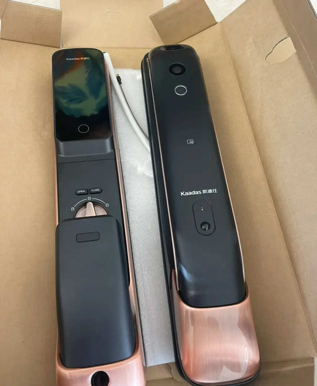 来说说凯迪仕智能锁K20 por Max图片_0