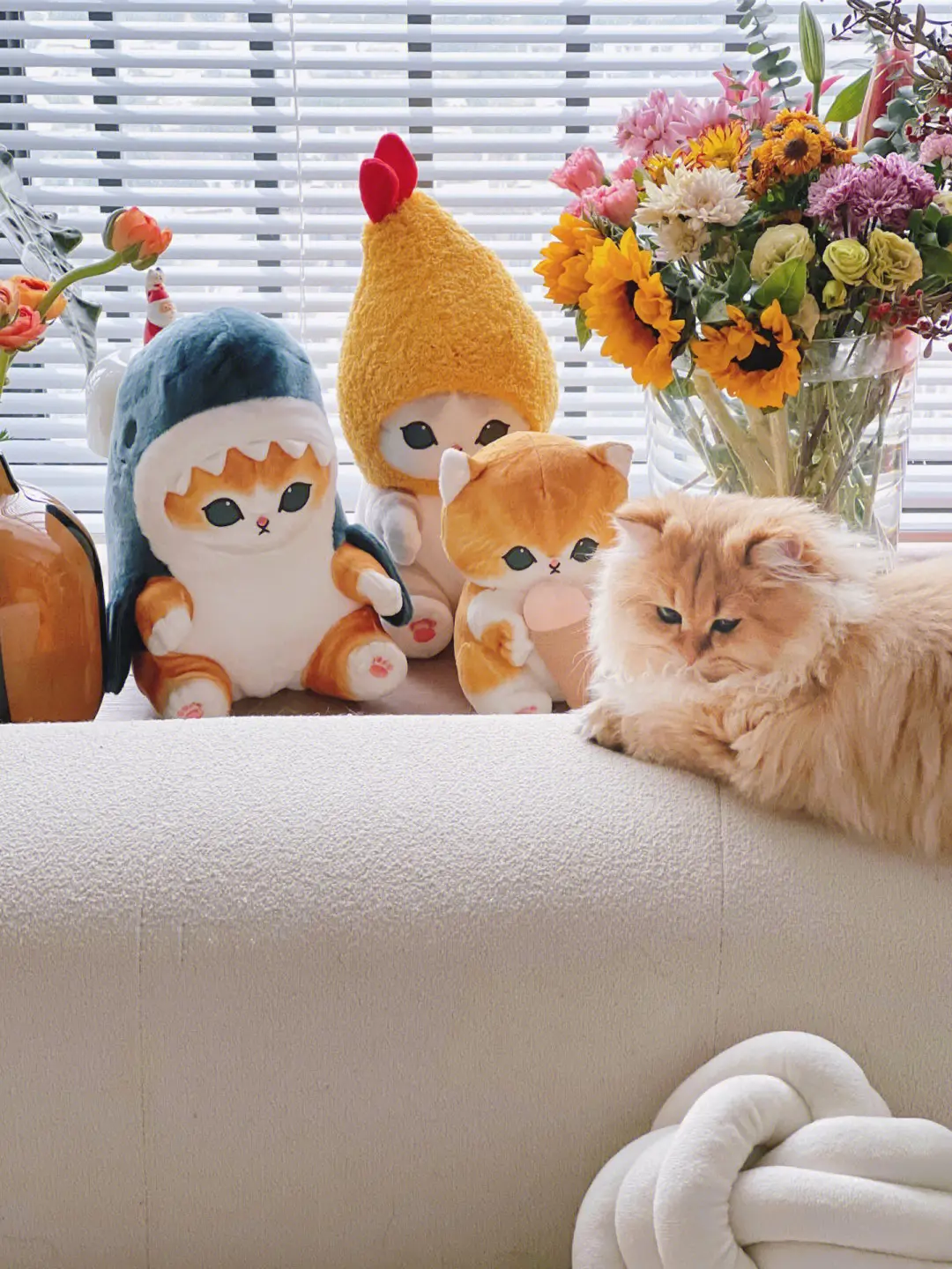 迎新年啦❗️用三只网红公仔猫吸吸福气‼️图片_6