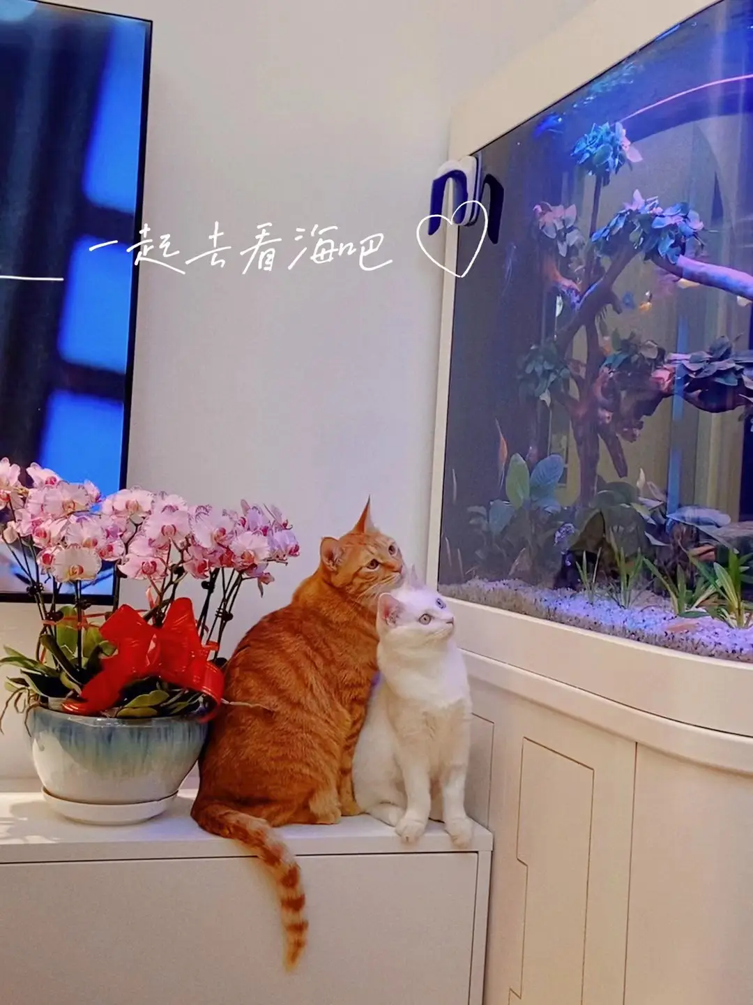 我家的奶油色客厅图片_2