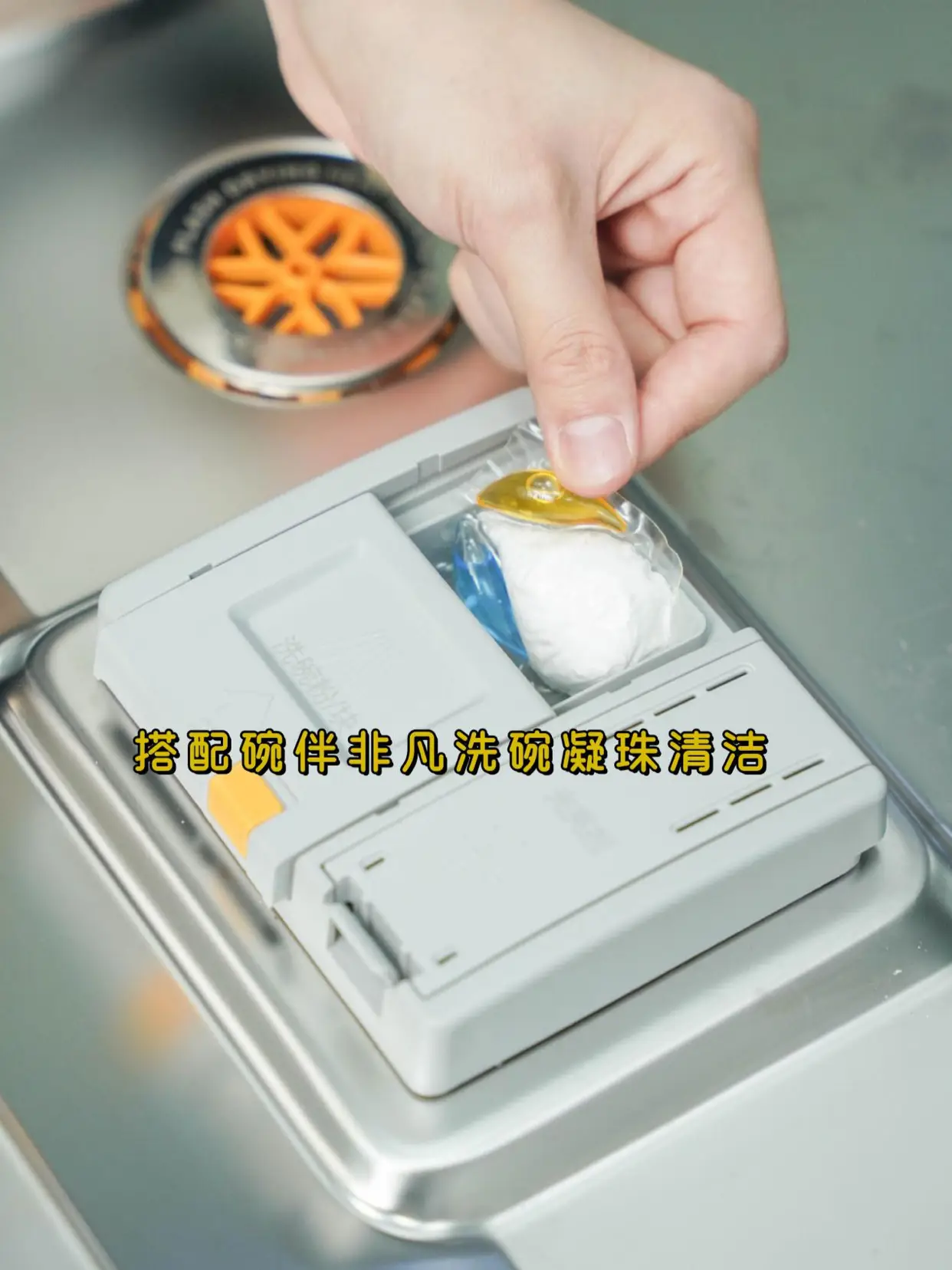 日常提高生活幸福感的秘诀，就是把它抱回家图片_3