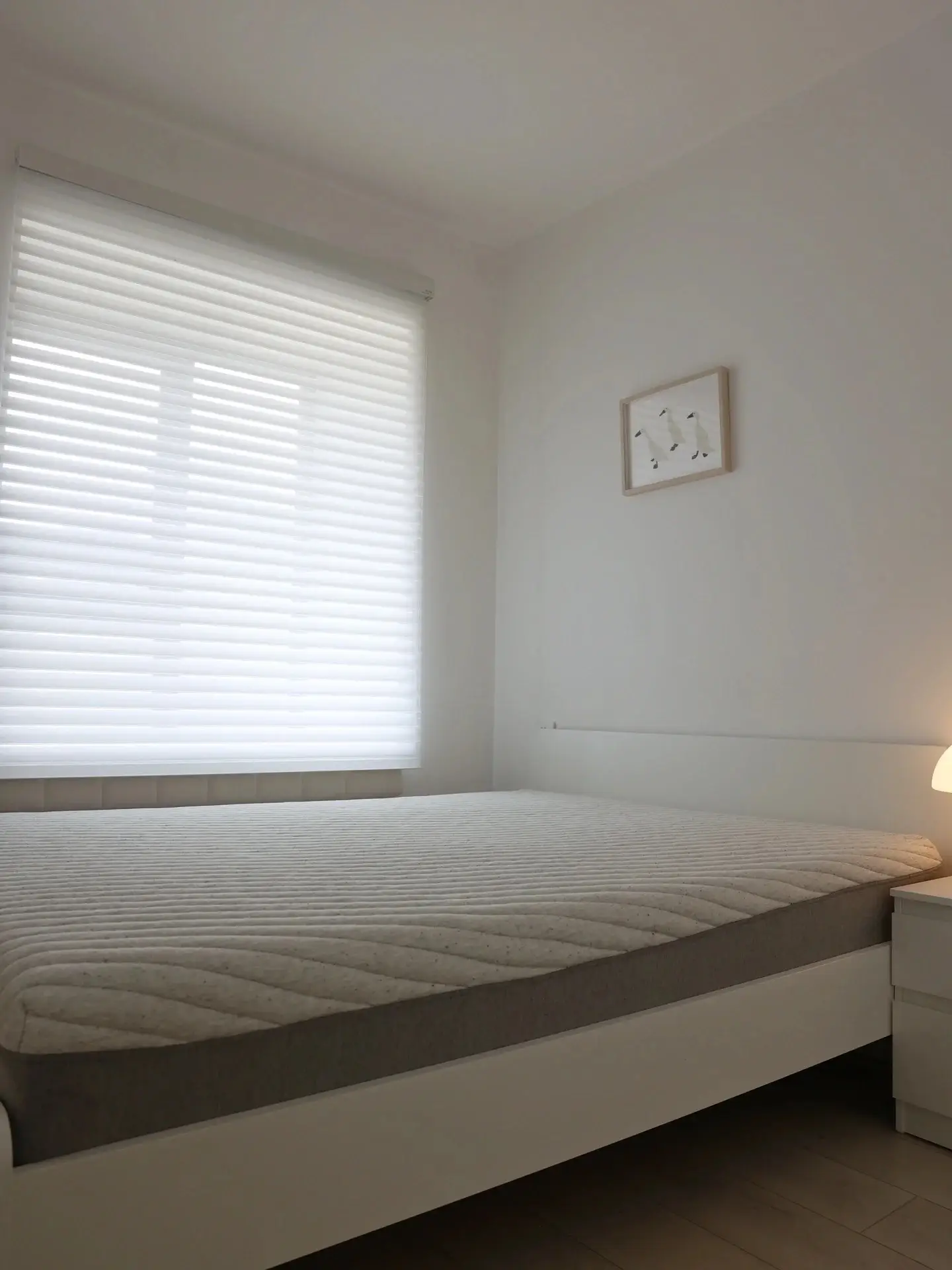 我买到的宝藏床垫～值得一看图片_3