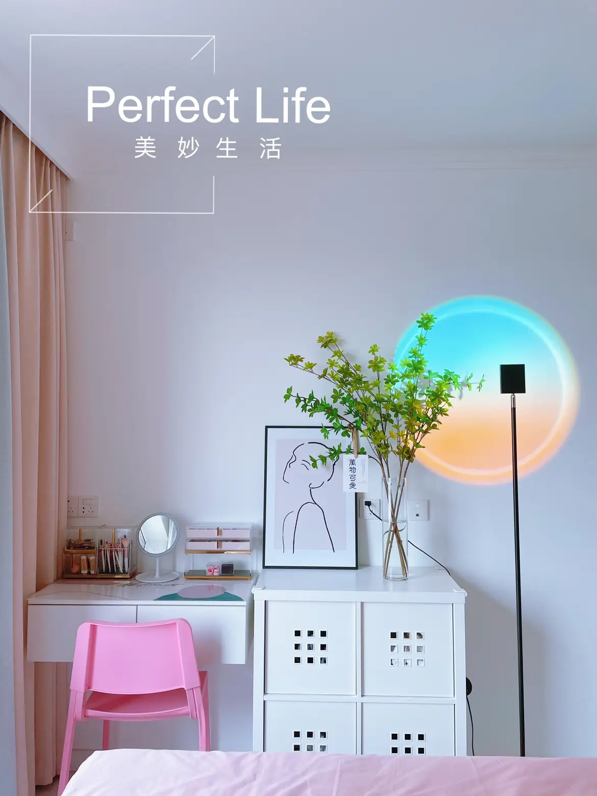 立邦褐珊瑚乳胶漆美到我了！图片_6