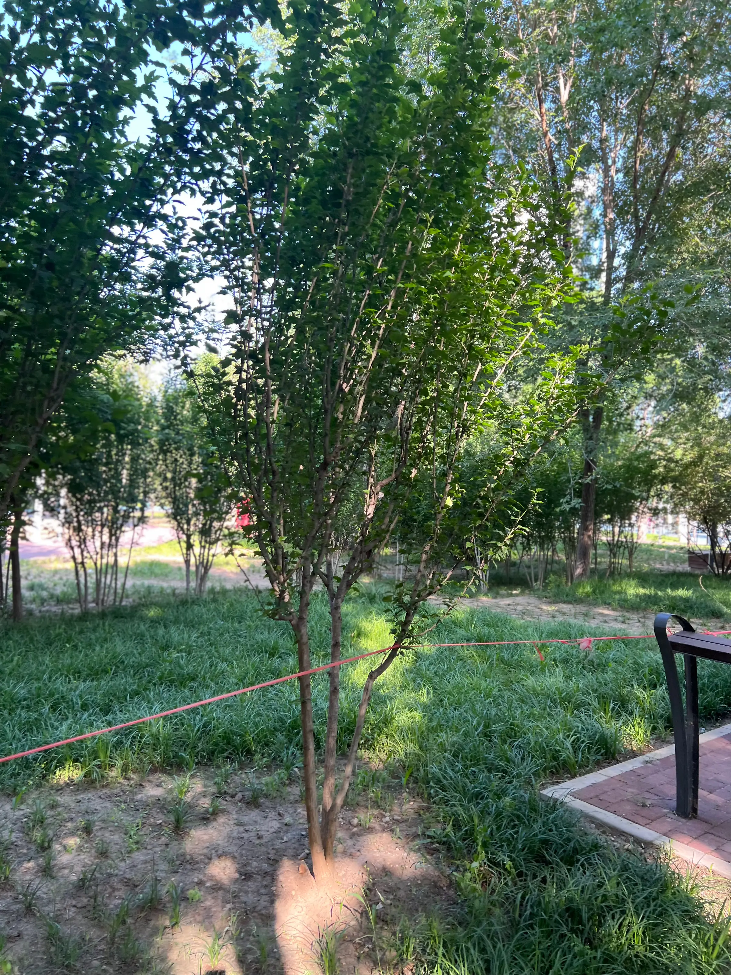 我的新家之装修🔛图片_5