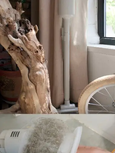 除尘清洁好物分享年终盘点图片_0