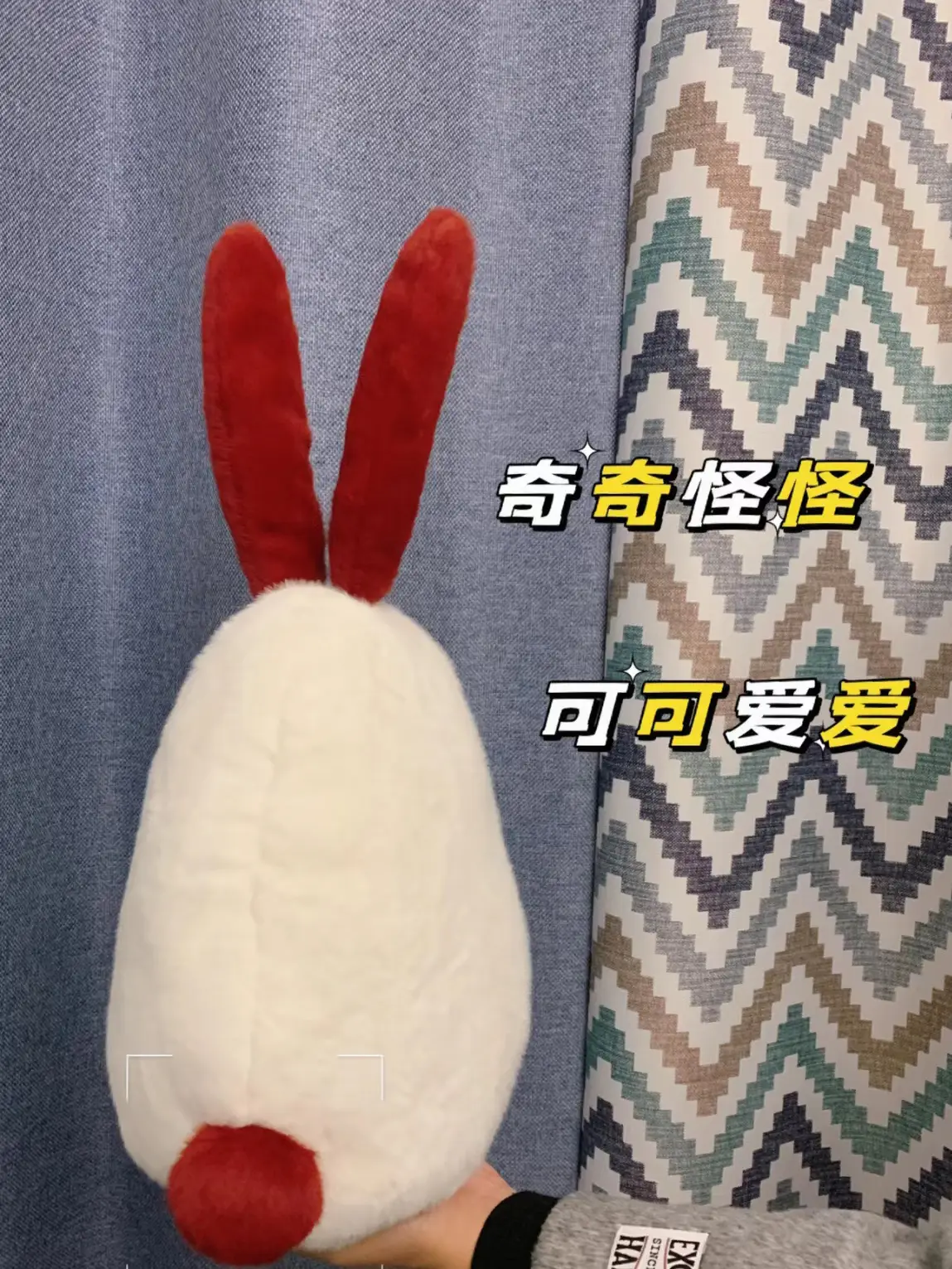 一份特别的新年礼物🎁图片_1