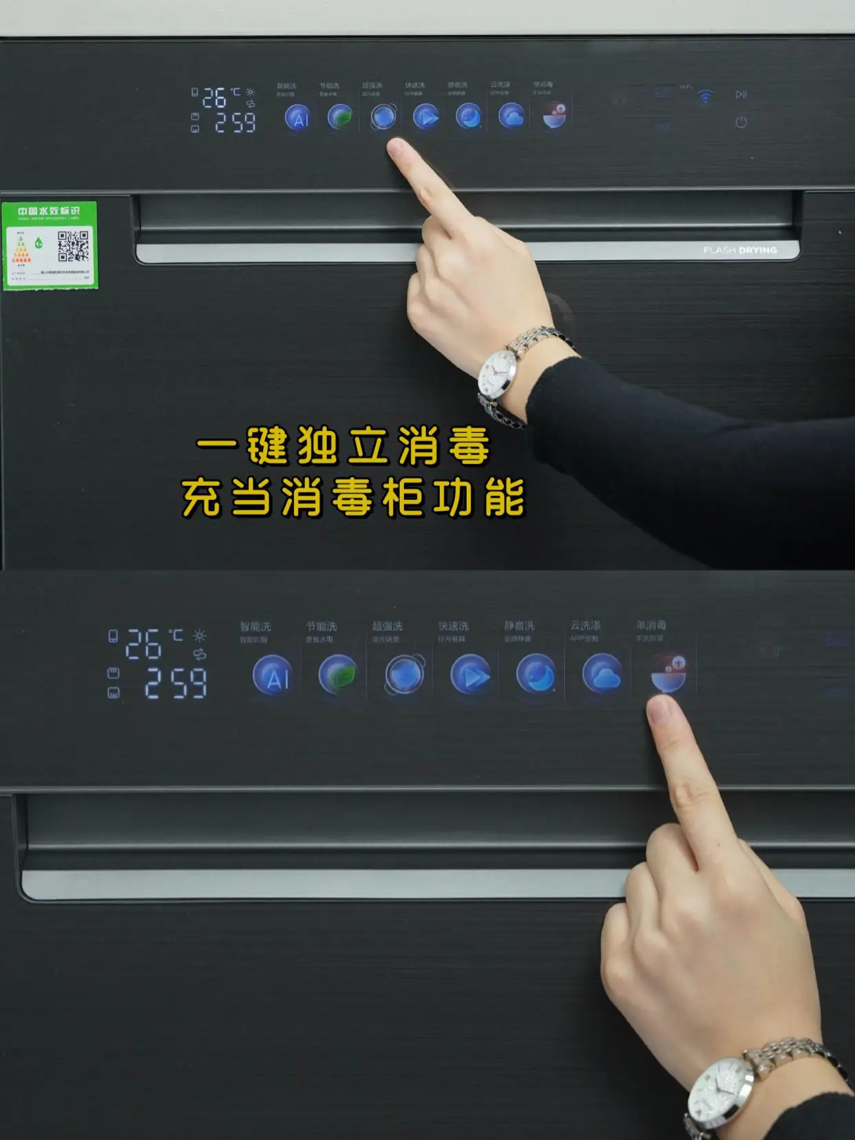 日常提高生活幸福感的秘诀，就是把它抱回家图片_2