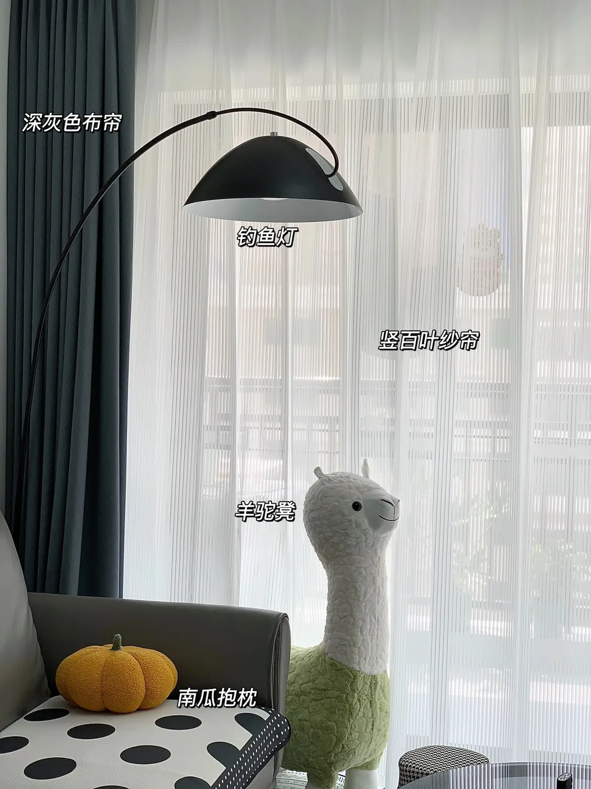 25平的小客厅！麻雀虽小 五脏俱全！图片_7
