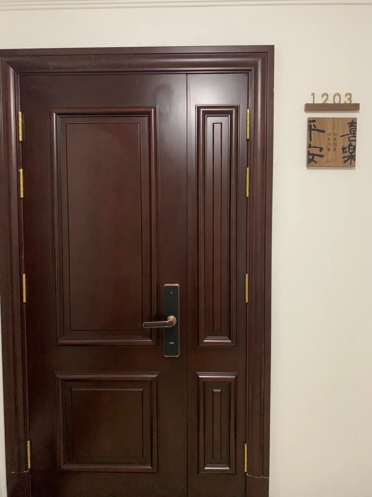 咬牙更换的入户门，烤漆质感绝绝子图片_0