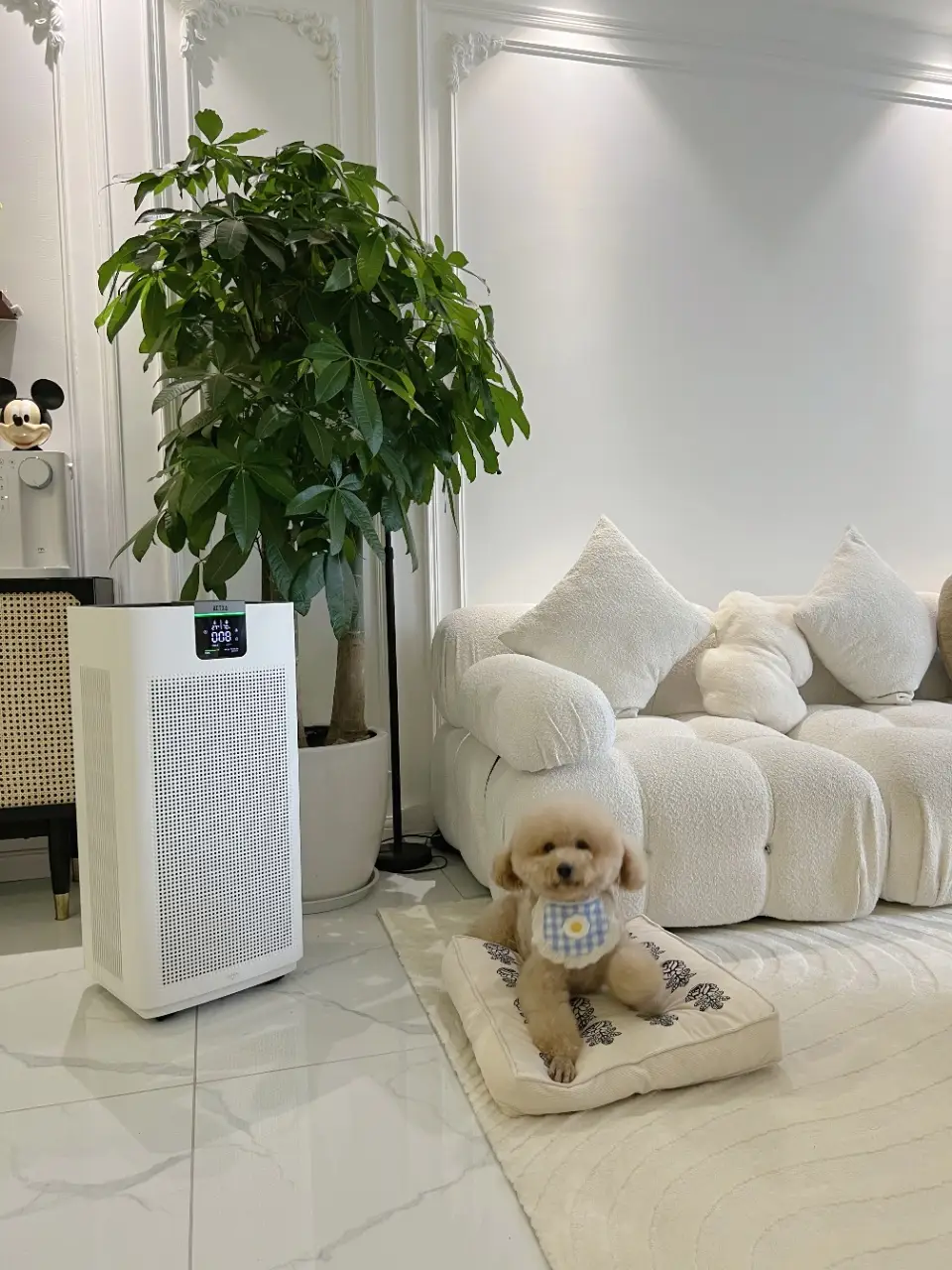 答应我！小户型一定装浅色系，越住越大！图片_4