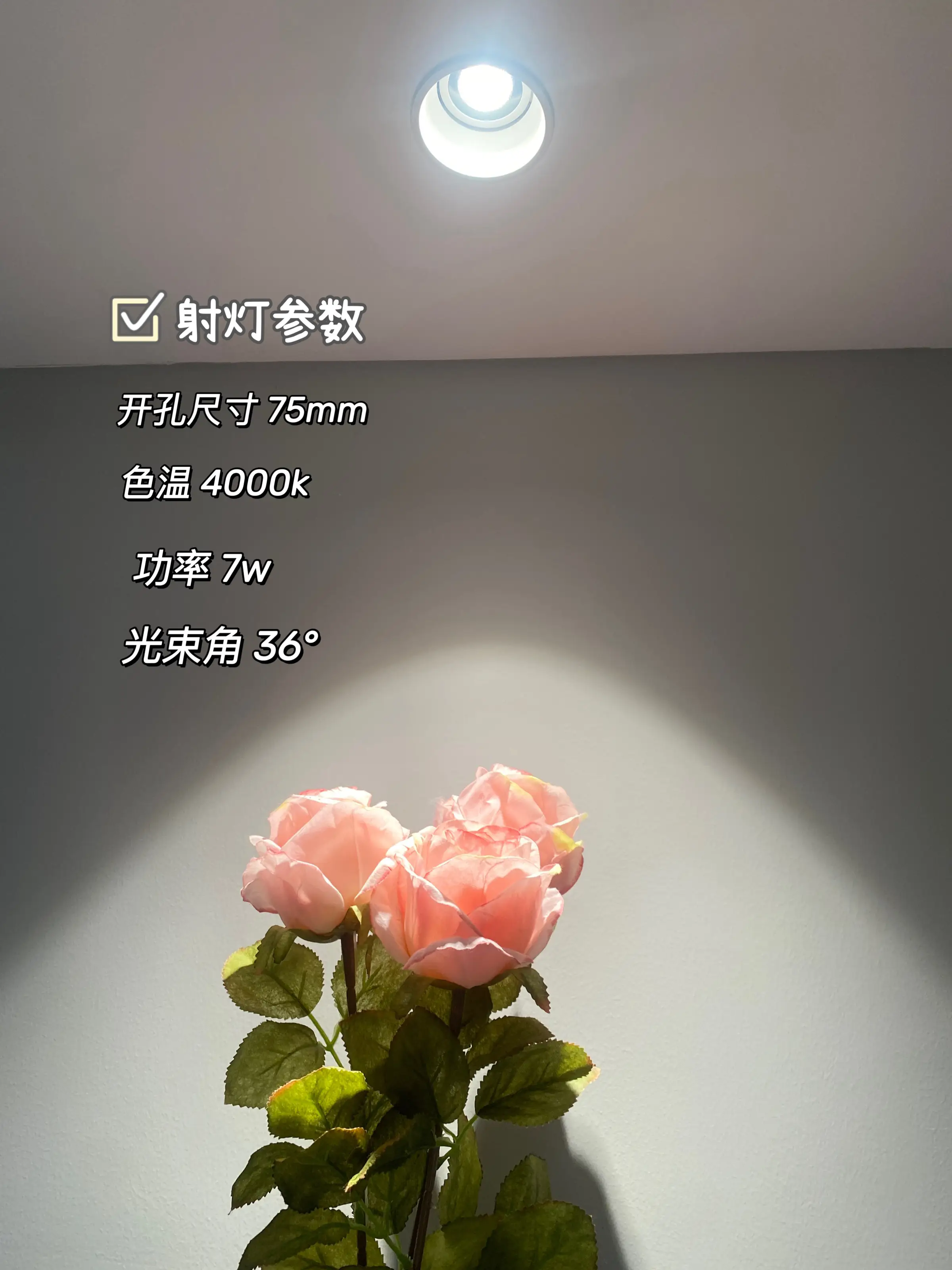 小户型听我一句劝！大白墙➕射灯氛围感绝了图片_4