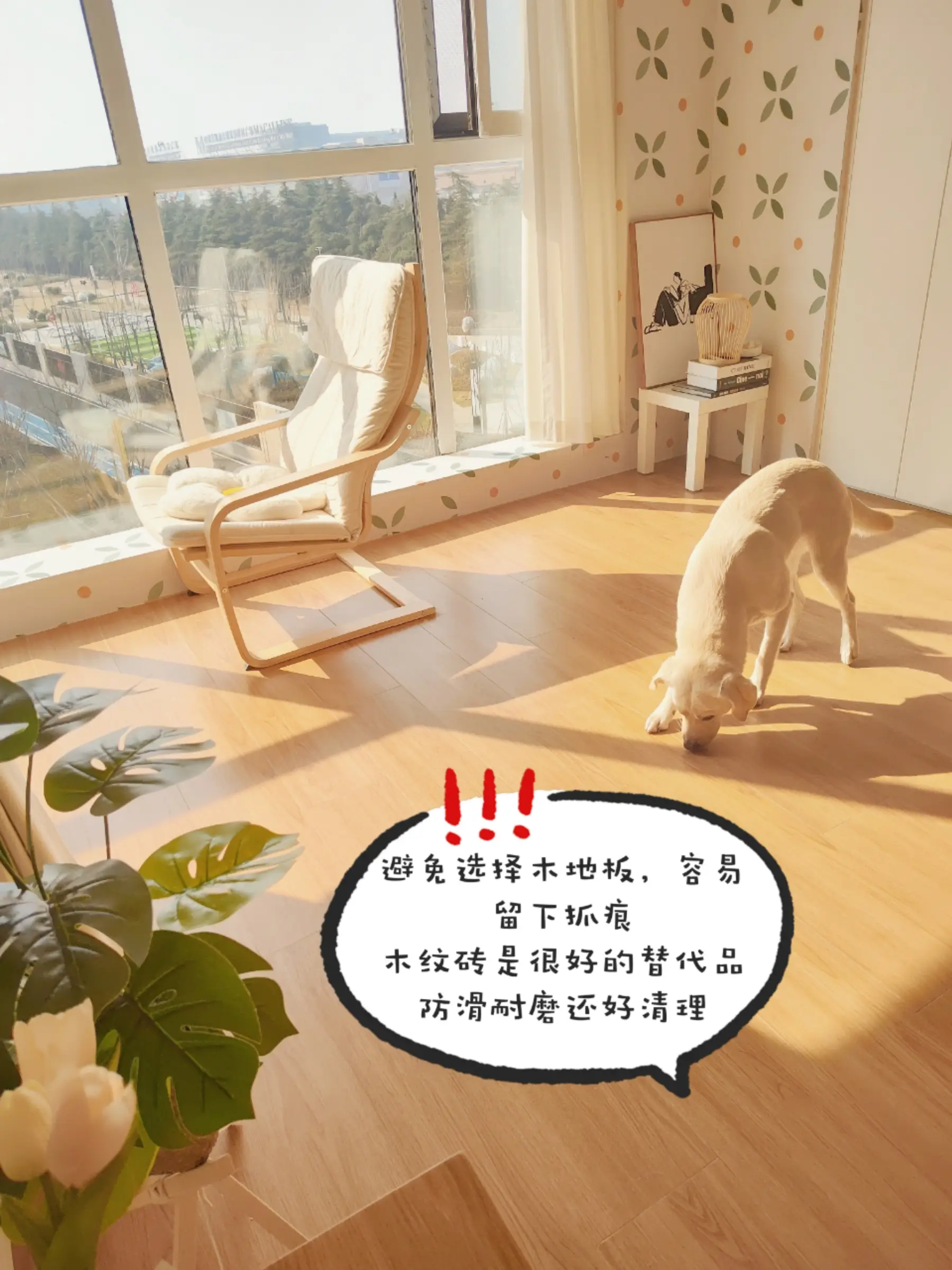 宠物友好设计！小狗家庭自装必看图片_1