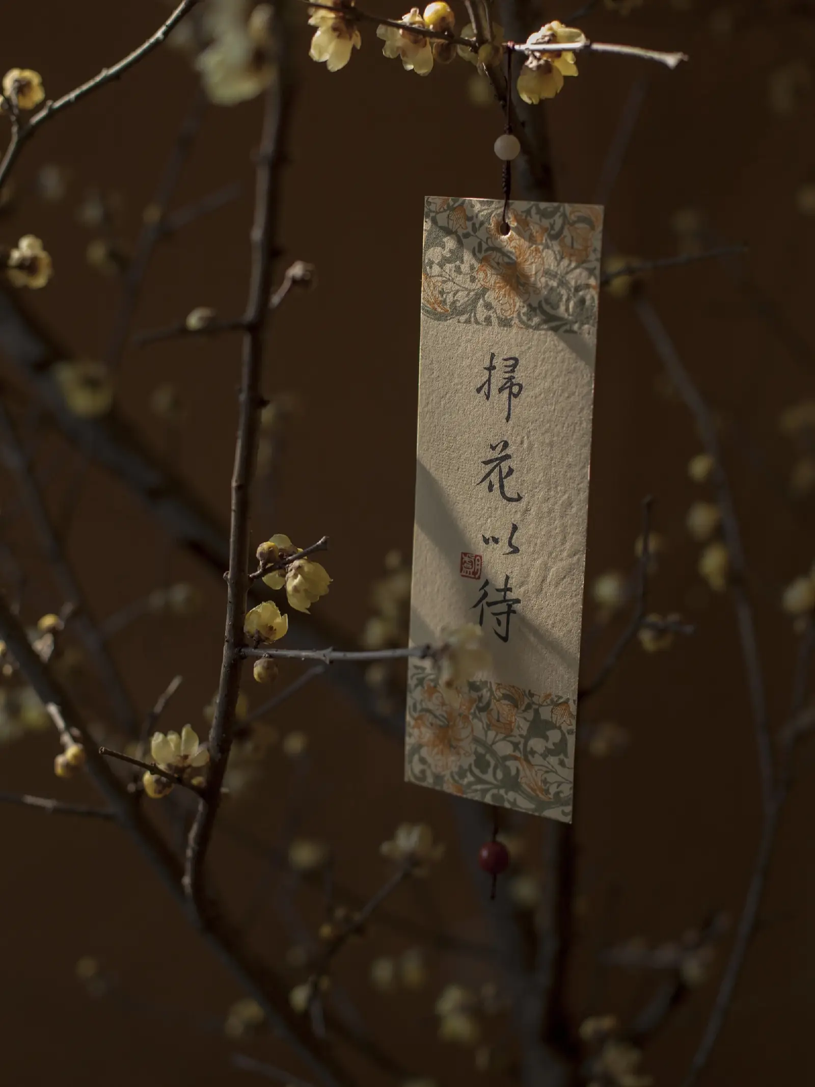 “一刻茶闲，一冬暖”图片_2
