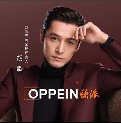 欧派高颜整家定制