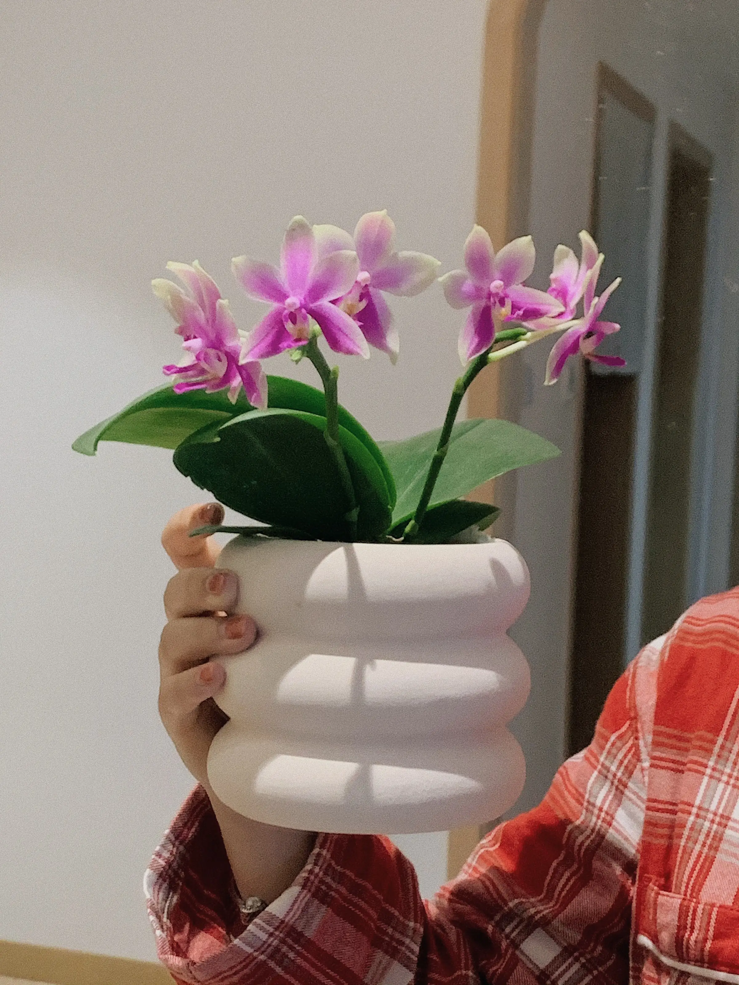 花点时间去生活图片_4