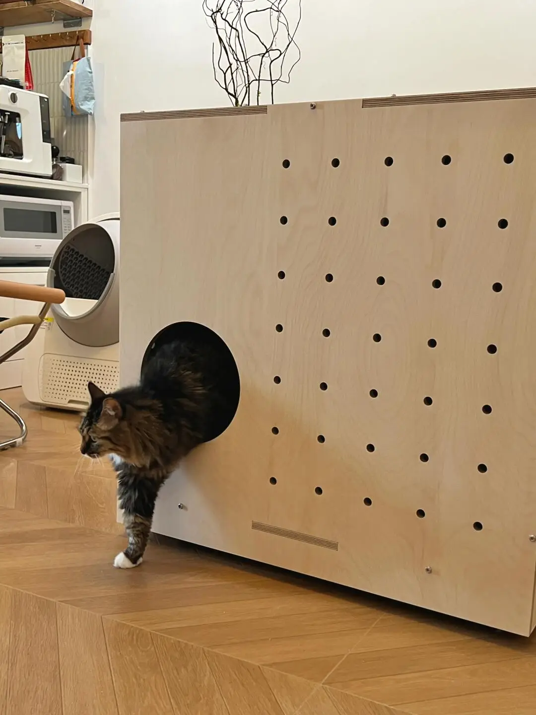宠物友好设计之给猫猫设计的豪华厕所图片_0