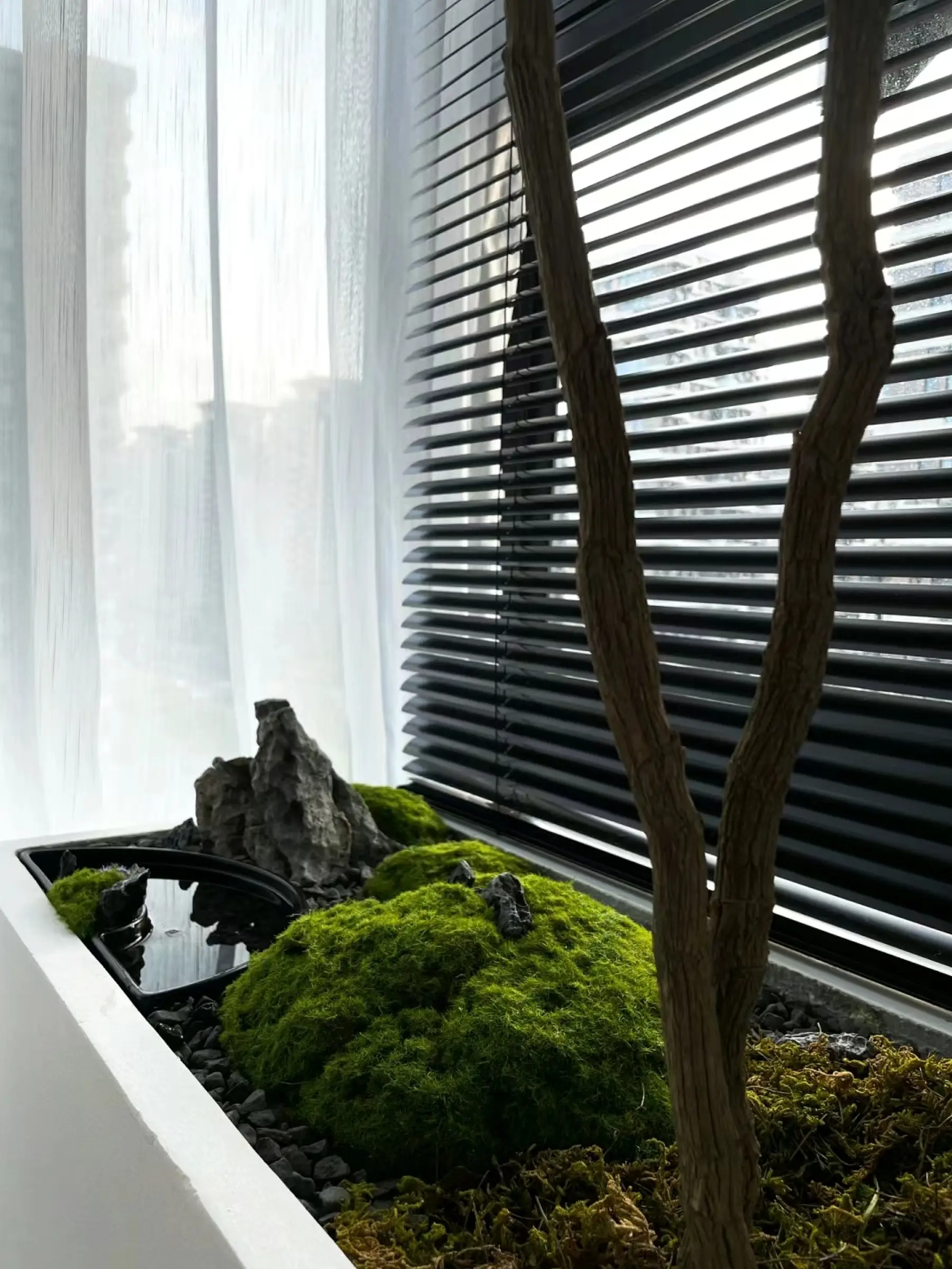 室内造景：给繁忙的生活带来一份自然之美图片_4