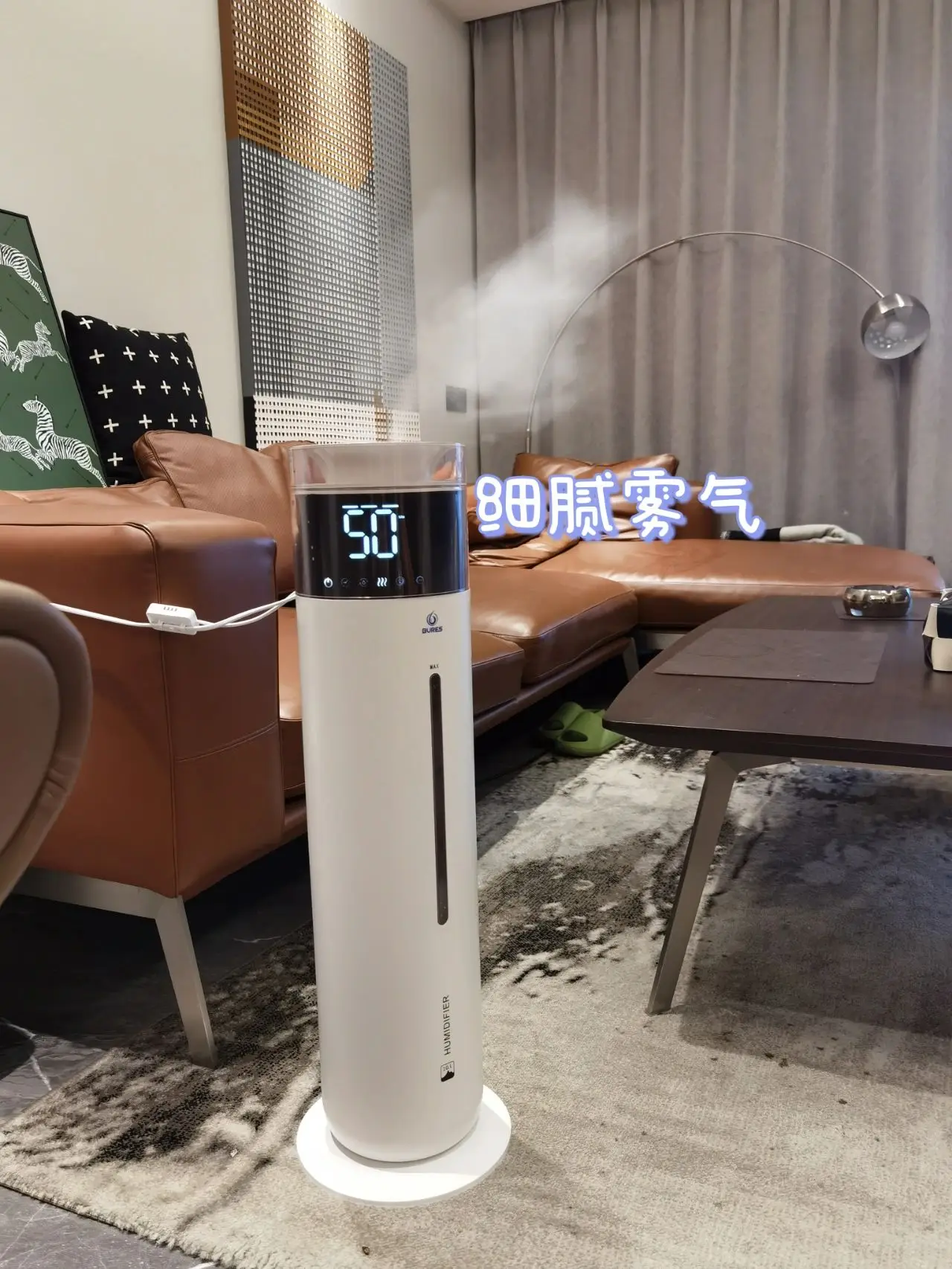 夏日除了空调，同样离不开这样好物图片_3