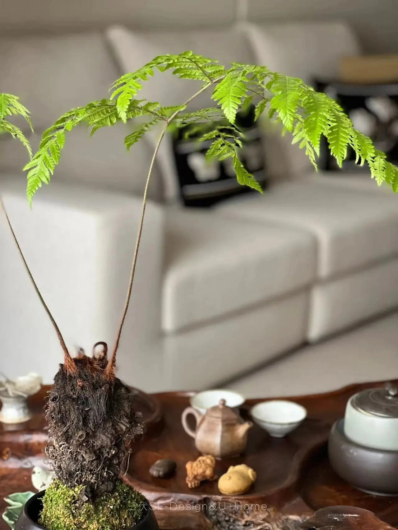打造独特氛围，中古侘寂混搭来袭🌿图片_5