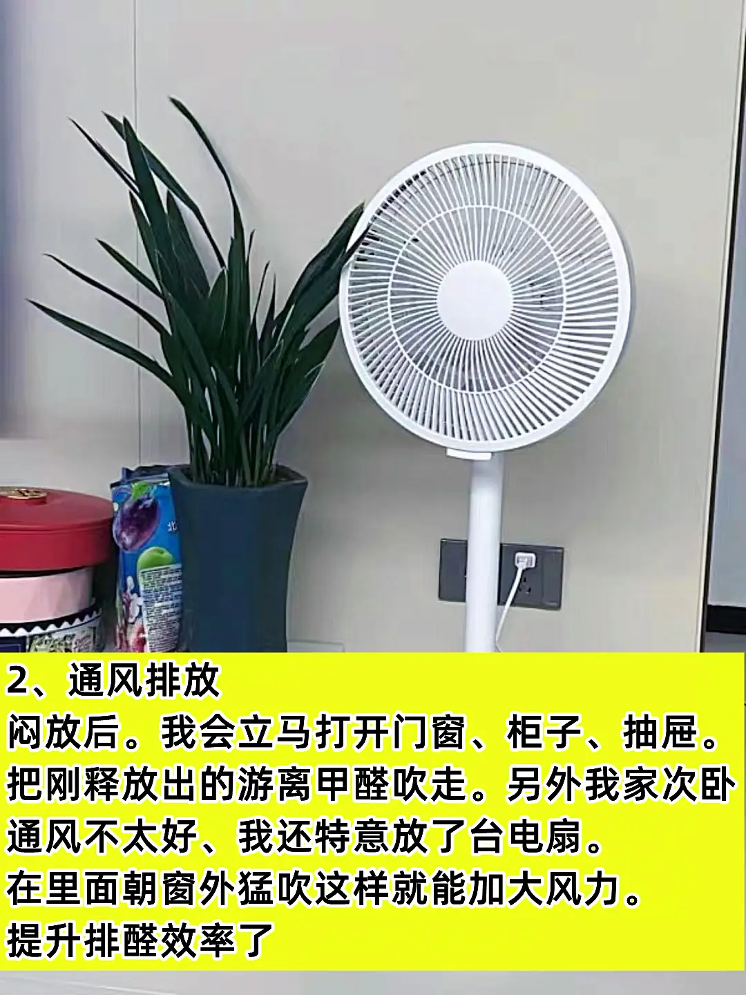过来人的除甲醛经验图片_3