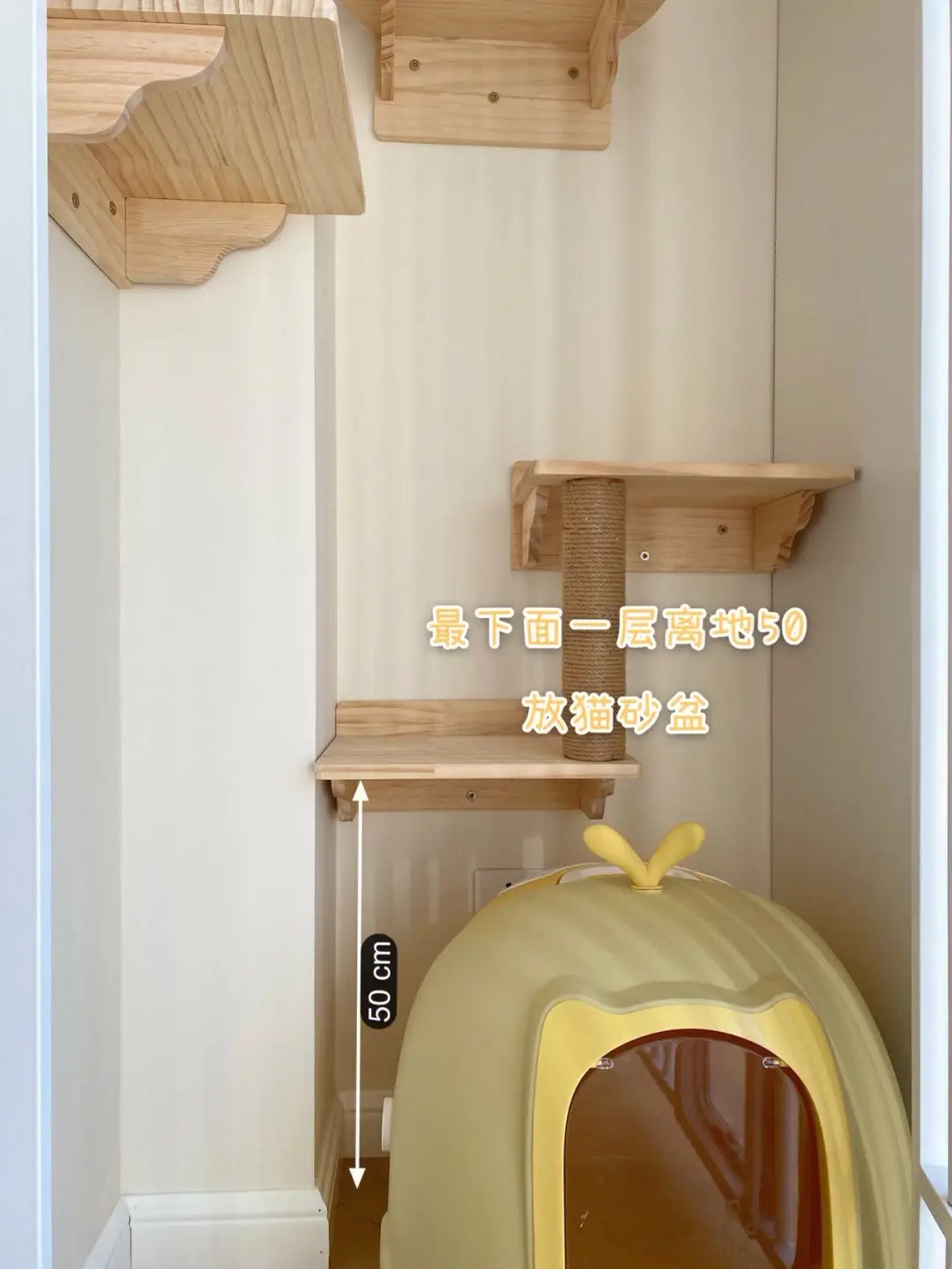 养宠家庭这样设计很友好，赶快学起来吧图片_3
