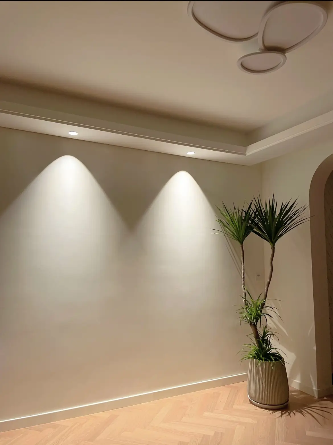 射灯让绿植灵动起来了🥰图片_2