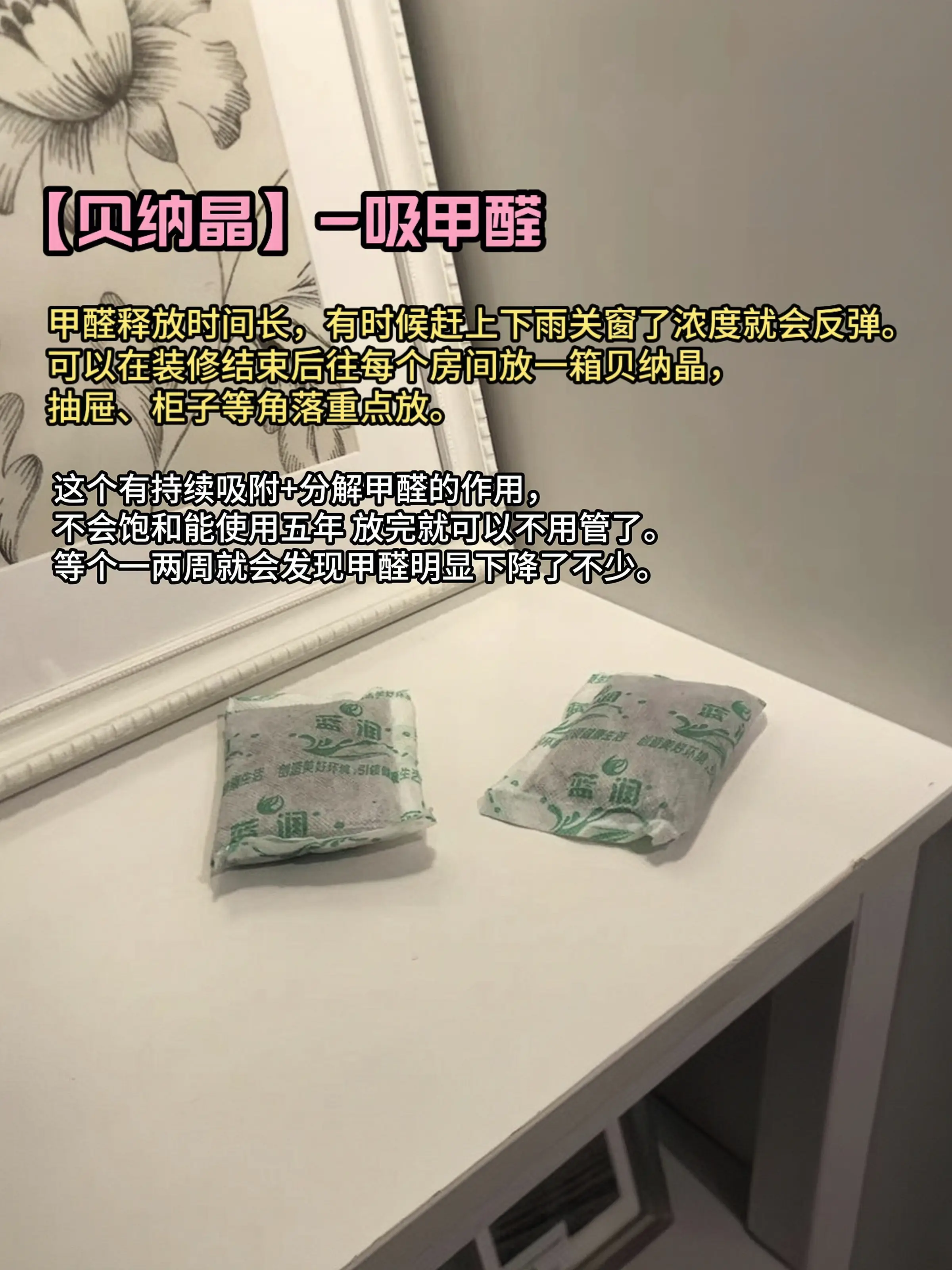 这辈子没想到除甲醛这么简单图片_2