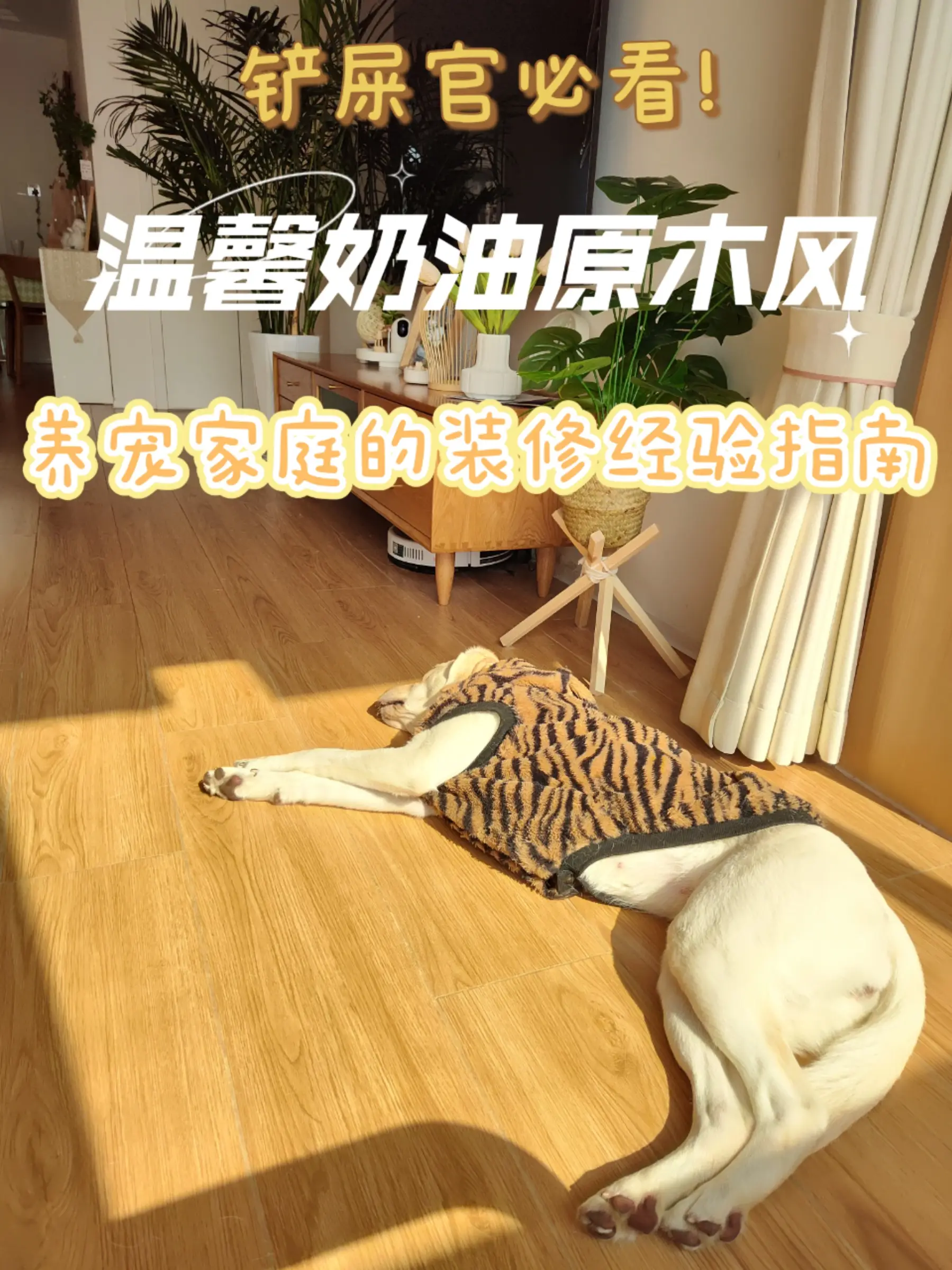 宠物友好设计！养宠物家庭铲屎官们必看图片_0