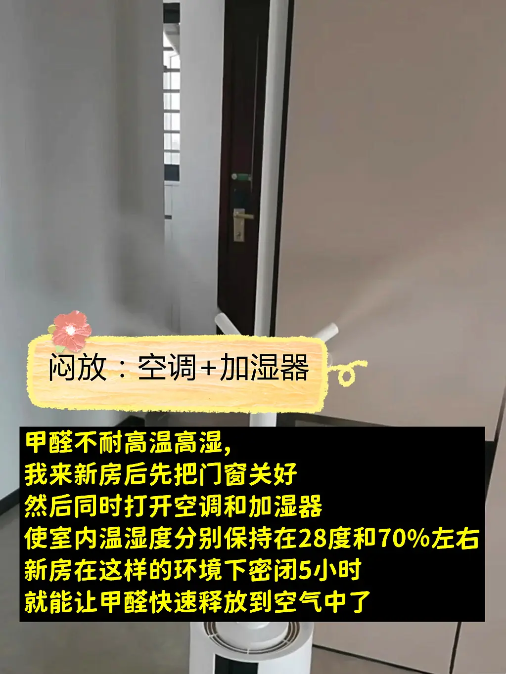 这样除甲醛真快图片_2