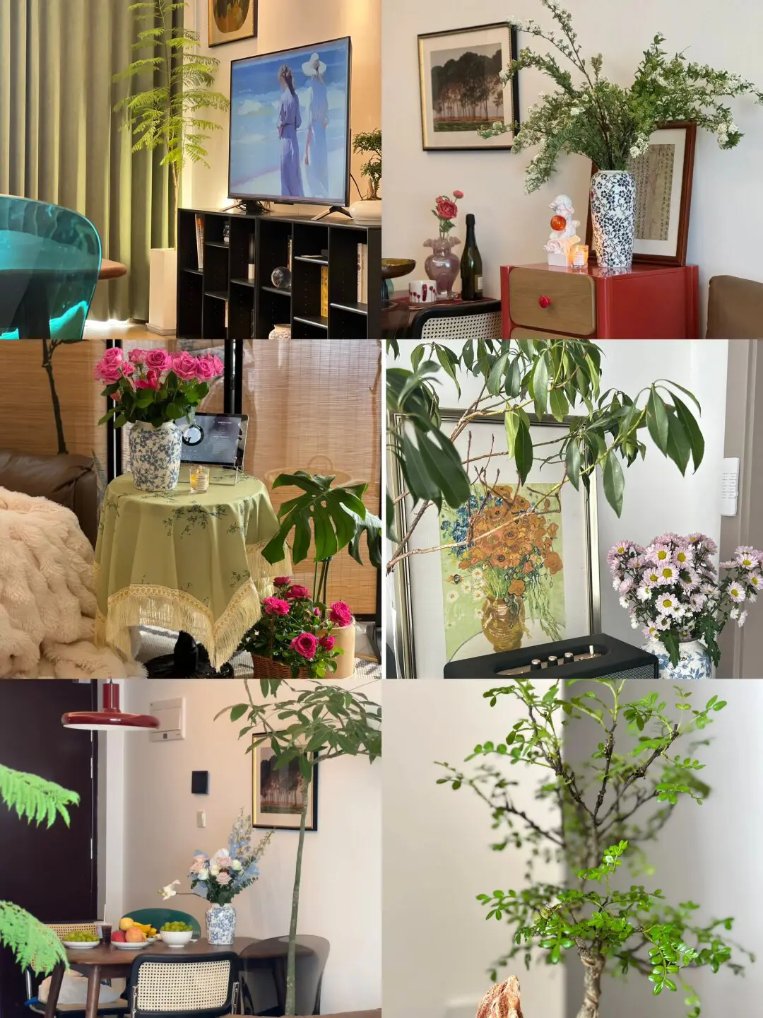 亲测鉴定，省心好养的绿植清单分享图片_0
