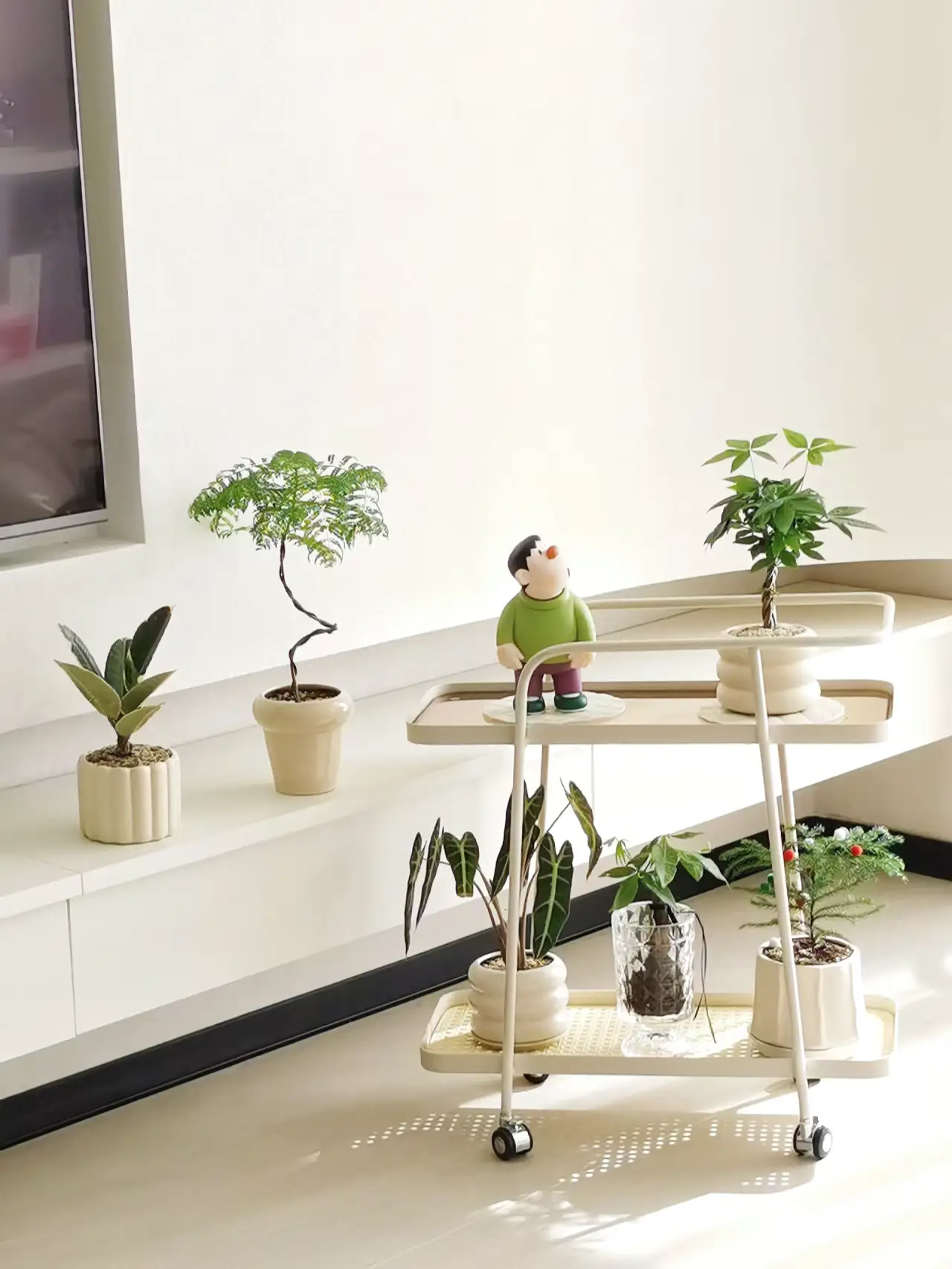 新房必备！小绿植打造家的氧吧🌱图片_1