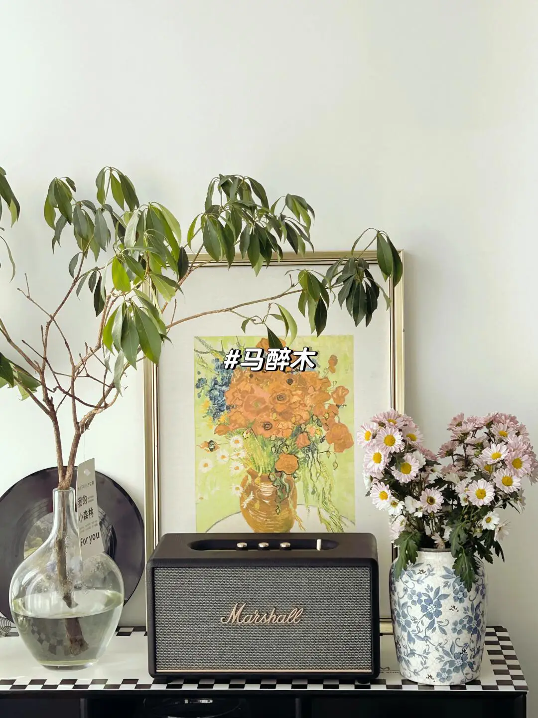 亲测鉴定，省心好养的绿植清单分享图片_2