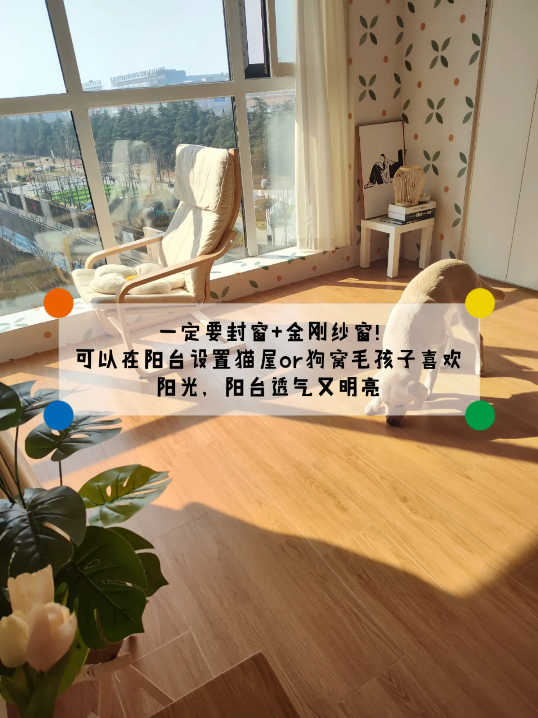 宠物友好设计！铲屎官福音，养宠家庭必看图片_2