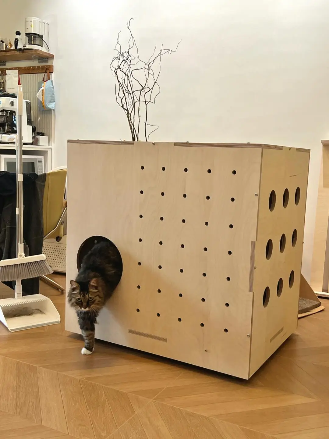 宠物友好设计之给猫猫设计的豪华厕所图片_1