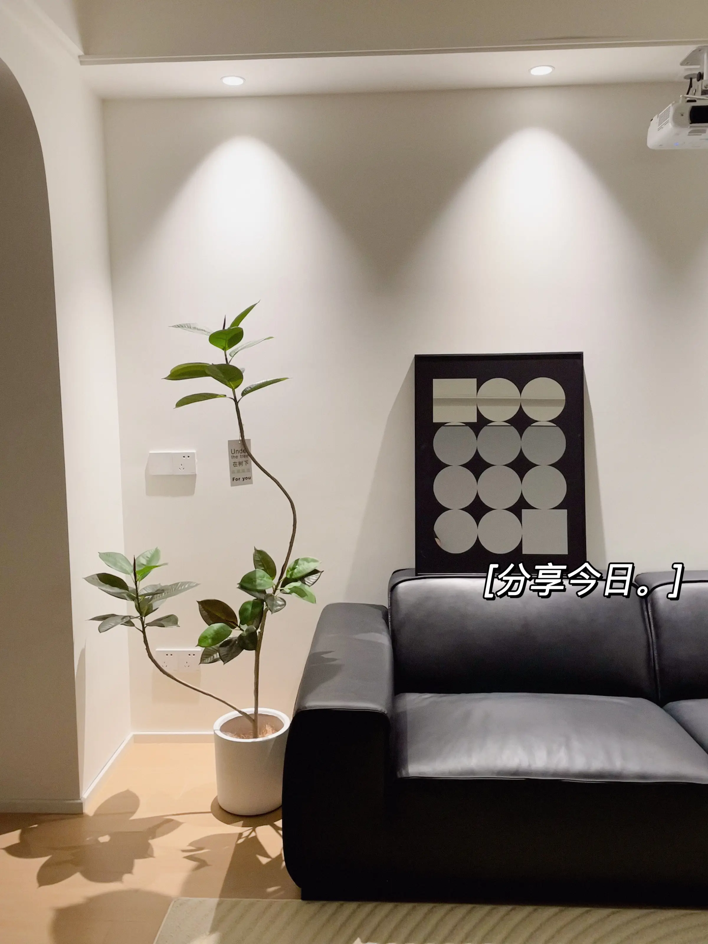 装饰新家，从一盆绿植开始🌱图片_0