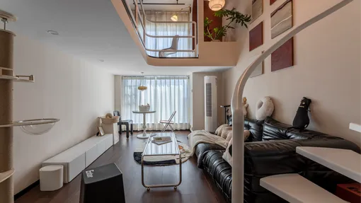 28㎡复式公寓，一人一猫三餐四季！