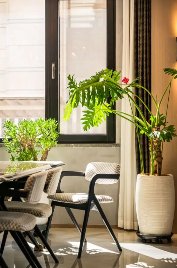 实木窗用的是“实木”吗？图片_4