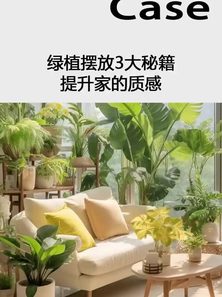 绿植摆放3大秘籍，提升你家的幸福质感！